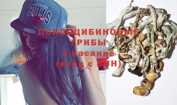 альфа пвп Елизово