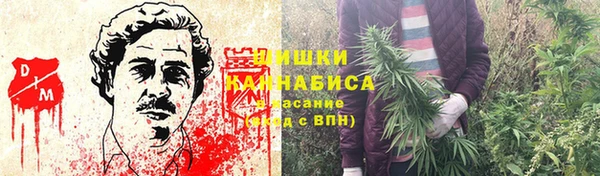 альфа пвп Елизово