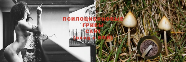 альфа пвп Елизово