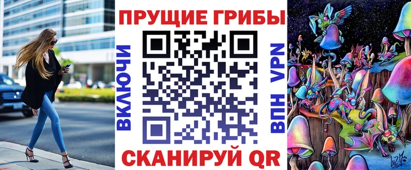 Купить где Петрозаводск Галлюциногенные грибы ЛСД